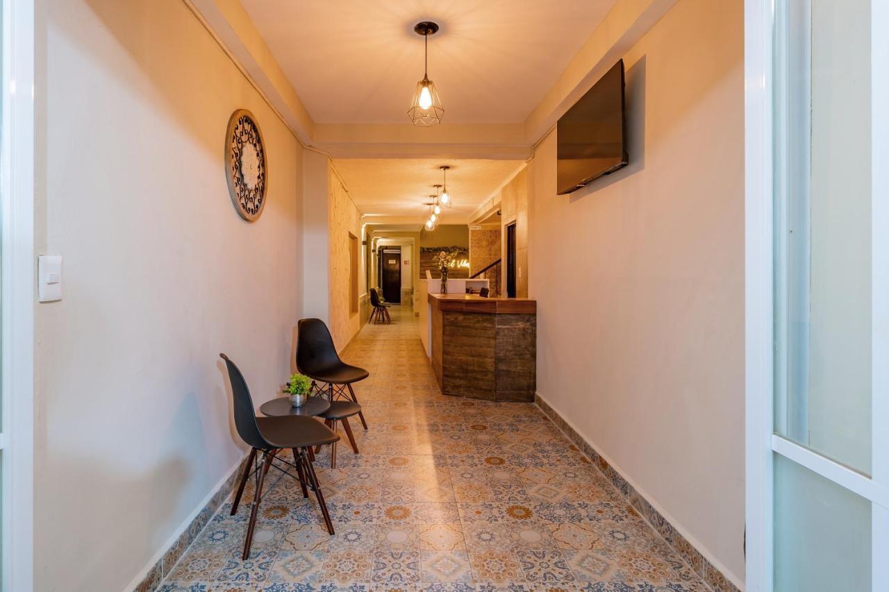 Hotel Brisas 5A Av, 普拉亚卡门 外观 照片